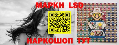 шишки Абакан