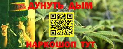 шишки Абакан