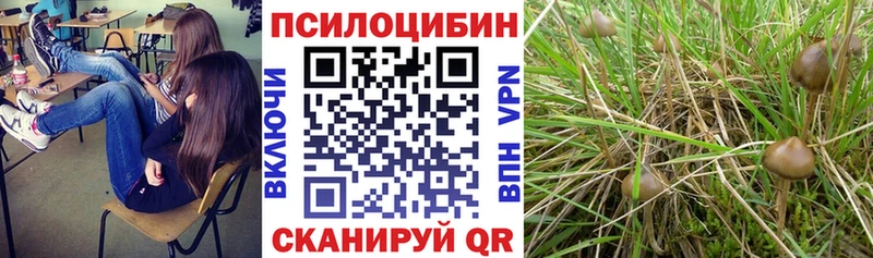 Псилоцибиновые грибы Magic Shrooms  OMG вход  Абинск 