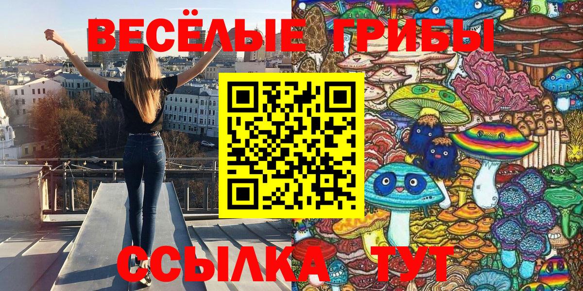 Абинск  Псилоцибиновые грибы мицелий  Вход с VPN 